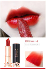 Load image into Gallery viewer, Rosemary 5 Colors Matte Lipstick Tubes Waterproof Long Lasting Sexy Chinese style Red Lipstick Makeup

